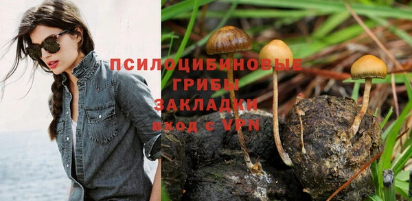 марки nbome Гусиноозёрск