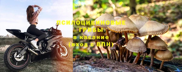 марки nbome Гусиноозёрск