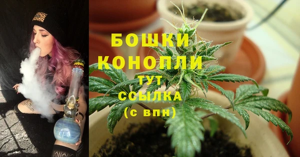 марки nbome Гусиноозёрск