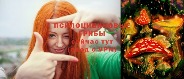 марки nbome Гусиноозёрск