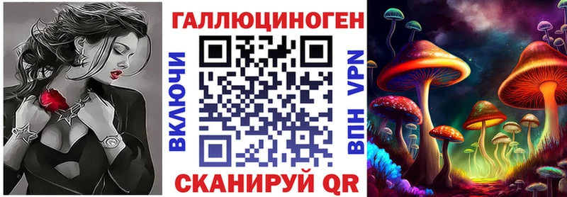 Псилоцибиновые грибы MAGIC MUSHROOMS  Купить закладки  Кадников 