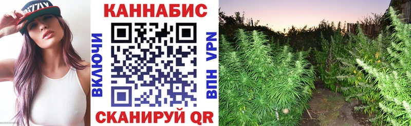 Купить  Кадников  Бошки Шишки гибрид 